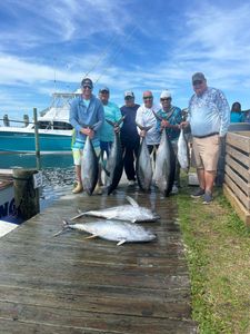 7 Blackfin Tuna and Yellowfin Tuna caught while fishing in NC