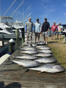 6 little tunny, blackfin tuna, and atlantic bonito fish caught in nags head