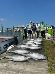 Two Blackfin Tuna and Yellowfin Tuna caught while fishing in NC