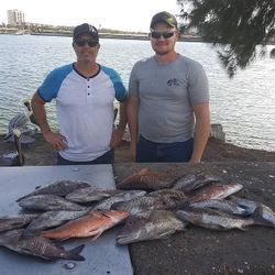 Fresh caught fish displayed on cleaning table at Tampa FL waterfront with multiple species