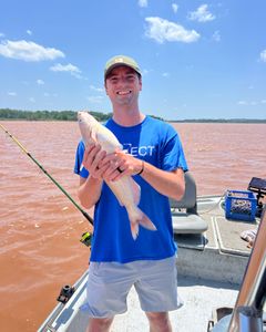 Angler catches a fish in the sand at Sand Springs