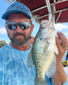 Angler with a white crappie fish of 17 inches in OK