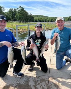 5 hybrid striped bass, striped bass, and white catfish caught on fishing trip in OK