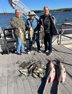 5 wiper and striped bass caught on a fishing trip in Sand Springs