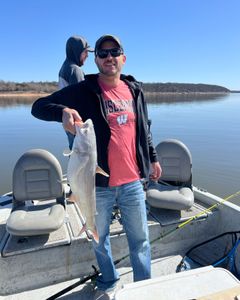 A blue catfish measuring 50 inches caught while fishing in Sand Springs