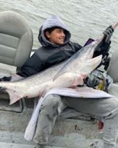 Bonnethead Shark, 31 inches, fishing in Sand Springs