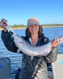 Channel Catfish Caught in OK