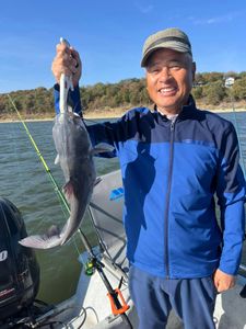 A channel catfish caught in Sand Springs
