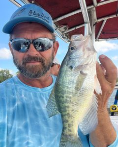 Nice crappie, captain. 