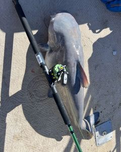 Fishing in OK