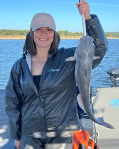 Angler fishing at Sand Springs