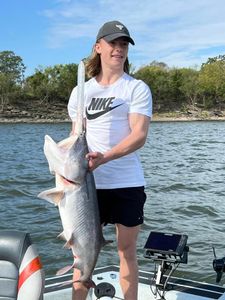 Gafftopsail sea catfish caught during fishing in Sand Springs