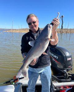 Hardhead Sea Catfish caught fishing in OK
