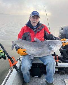 Majestic blue catfish caught in OK