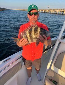 Sheepshead fish caught while fishing in OK