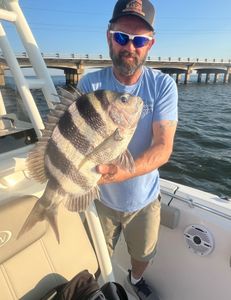 Sheepshead fish caught while fishing in Sand Springs