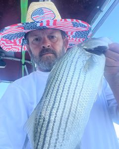 Striped bass caught by angler in OK