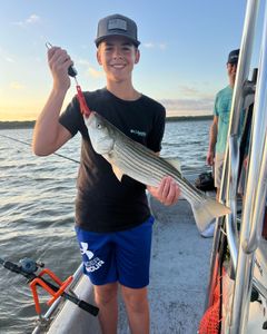 Striped bass caught while fishing in Oklahoma