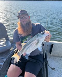 Striped bass caught fishing in OK