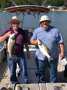 Two striped bass caught in Sand Springs