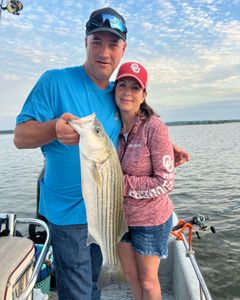 Striped Bass, 21-inch fish caught by 2 people in OK