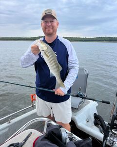 Striped bass caught while fishing in Sand Springs