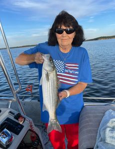 Striped bass caught during fishing trip in Sand Springs