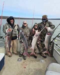 3 hardhead sea catfish, fishing at Sand Springs