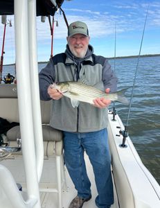 White Bass caught while fishing in Sand Springs