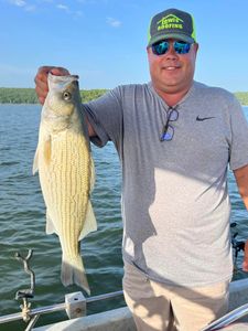 Fishing for a white bass in Sand Springs