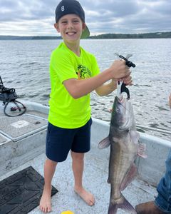 Photograph of a single white catfish caught in OK
