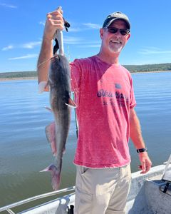Image of a white catfish caught while fishing in OK