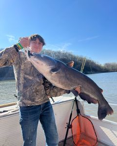 White catfish caught in Sand Springs