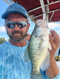 White crappie fish caught in Sand Springs