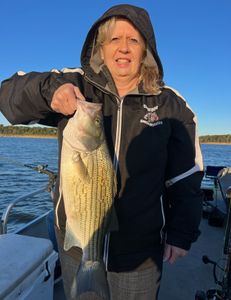 A wiper (hybrid striped bass) caught while fishing in Oklahoma