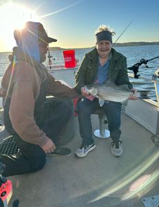 Wiper (Hybrid striped bass) caught while fishing in Sand Springs