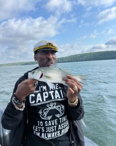 Wiper (Hybrid striped bass) fish caught in OK