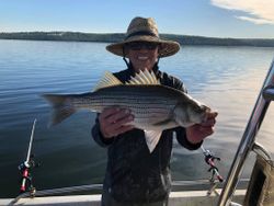 Wiper (Hybrid striped bass) caught while fishing in Sand Springs