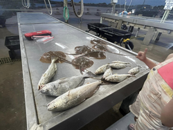 Two fish caught while fishing in TX