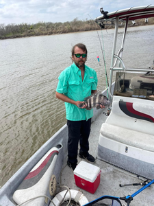 Sheepshead fish caught in Matagorda, Texas during a fishing trip