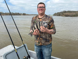 Sheepshead fish caught in Matagorda