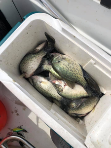 Two anglers fishing in TX