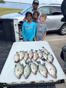 10 crappie and white bass caught while fishing in TX