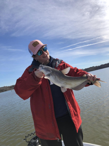 Blue catfish fishing in TX