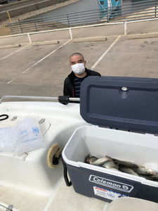 A blue catfish measuring 17 inches caught in Lewisville