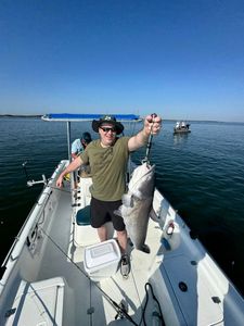 A person fishing for a blue catfish in Lewisville