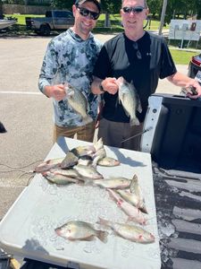 5 crappie fish caught in Lewisville