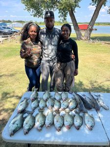 3 crappie fish caught while fishing in TX
