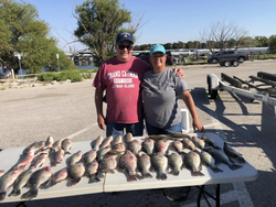 Gag grouper fish caught in Lewisville