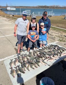 Two wiper (hybrid striped bass) fish caught in Lewisville